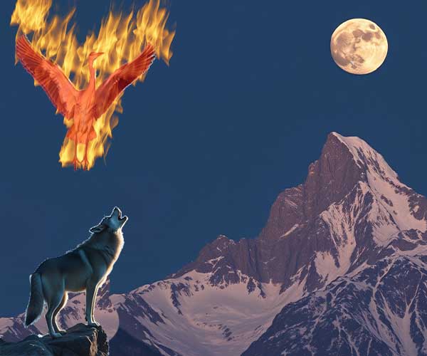 wolfphoenixmoon